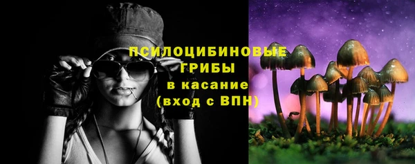 твердый Новокубанск