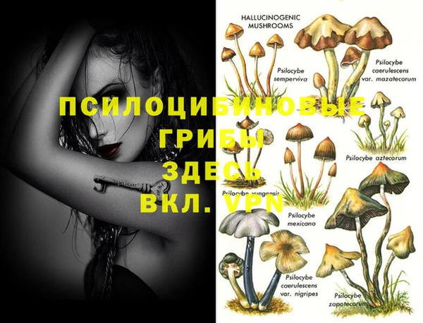 мяу мяу кристалл Няндома