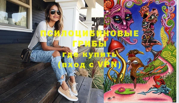 винт Новозыбков