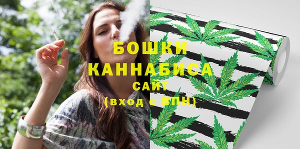 мдма Новодвинск
