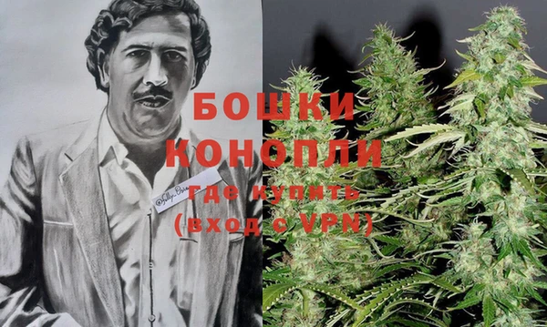 мдма Новодвинск