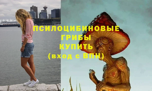 мяу мяу кристалл Няндома