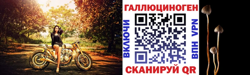 Галлюциногенные грибы Psilocybine cubensis  Оленегорск 