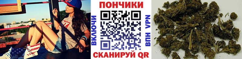 Конопля планчик  Оленегорск 
